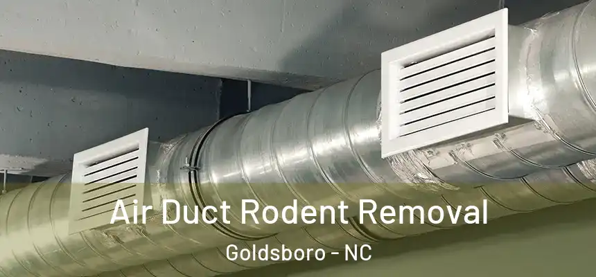 Air Duct Rodent Removal Goldsboro - NC