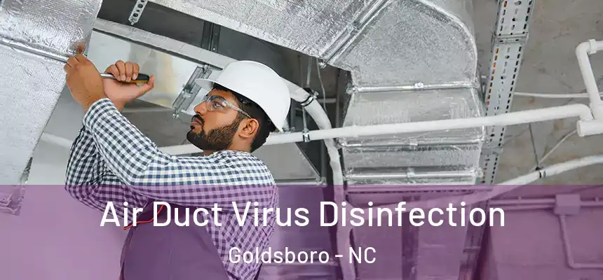 Air Duct Virus Disinfection Goldsboro - NC