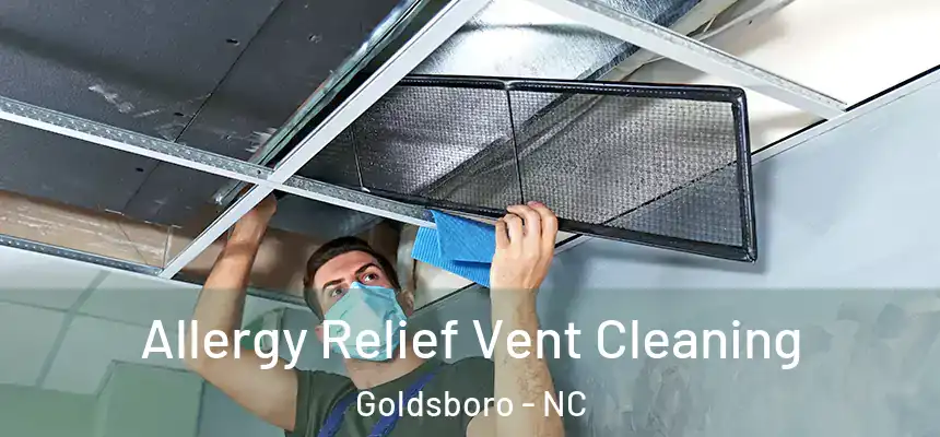  Allergy Relief Vent Cleaning Goldsboro - NC