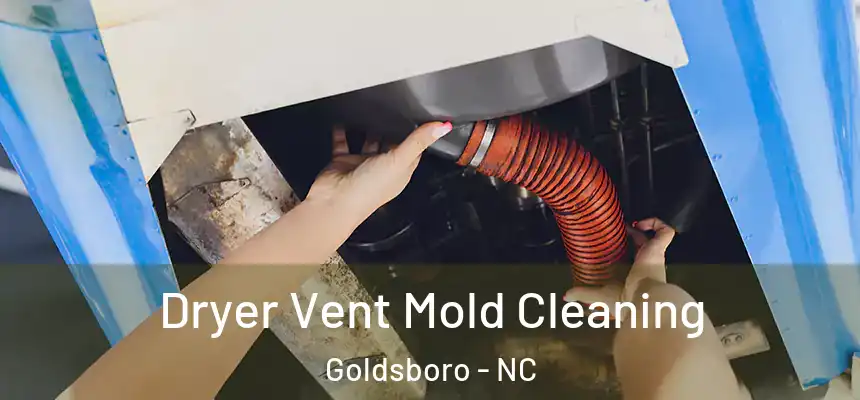  Dryer Vent Mold Cleaning Goldsboro - NC