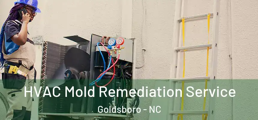 HVAC Mold Remediation Service Goldsboro - NC