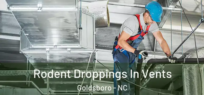 Rodent Droppings In Vents Goldsboro - NC