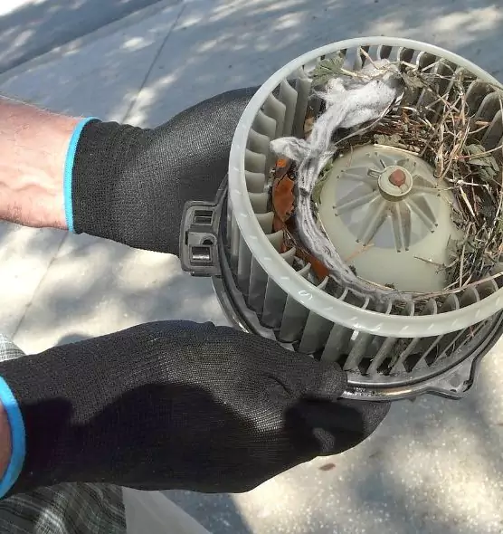 About Air Duct Mice Removal in Goldsboro, NC