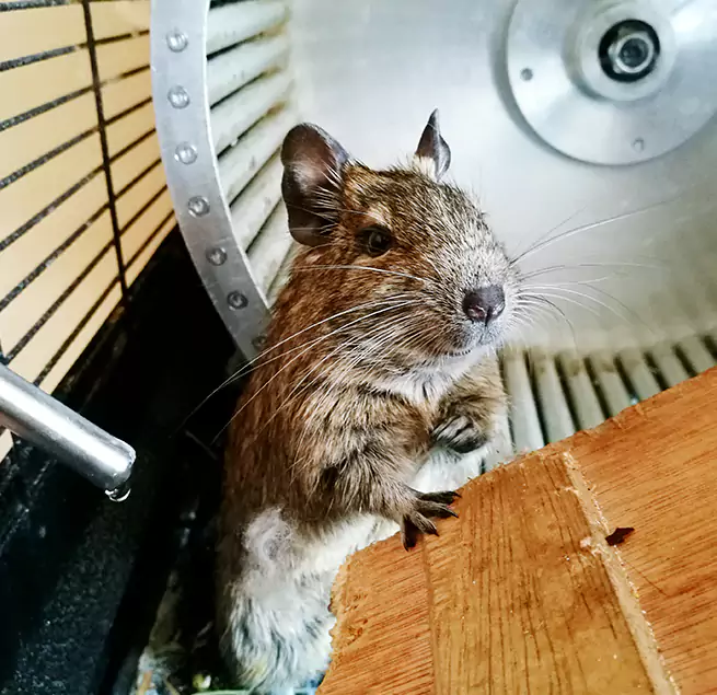 Why Homeowners & Businesses Trust Us Goldsboro, NC