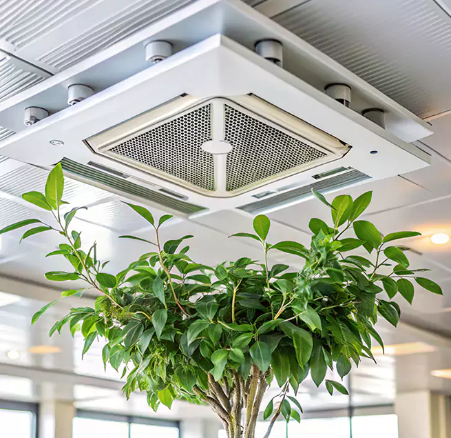 Why Homeowners & Businesses Trust Us in Goldsboro, NC