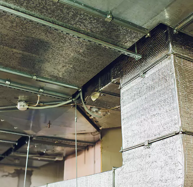 Why Homeowners & Businesses Trust Us in Goldsboro, NC?